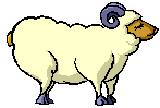 Byarlea Wiltshire Horn Sheep Stud